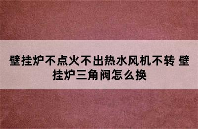 壁挂炉不点火不出热水风机不转 壁挂炉三角阀怎么换